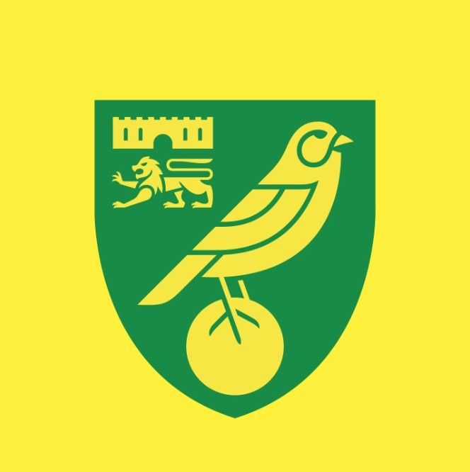 为纪念俱乐部成立120周年，诺维奇推出新队徽