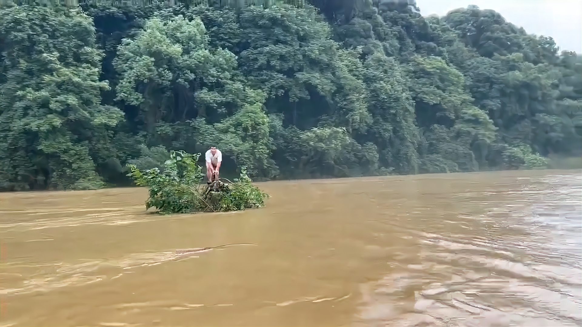 江西婺源遭遇强力洪涝考验，一男子站在树枝上被洪水冲走