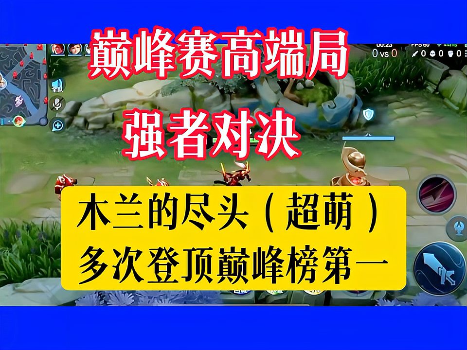 王者荣耀：花木兰天花板（超萌）2022年11月10日