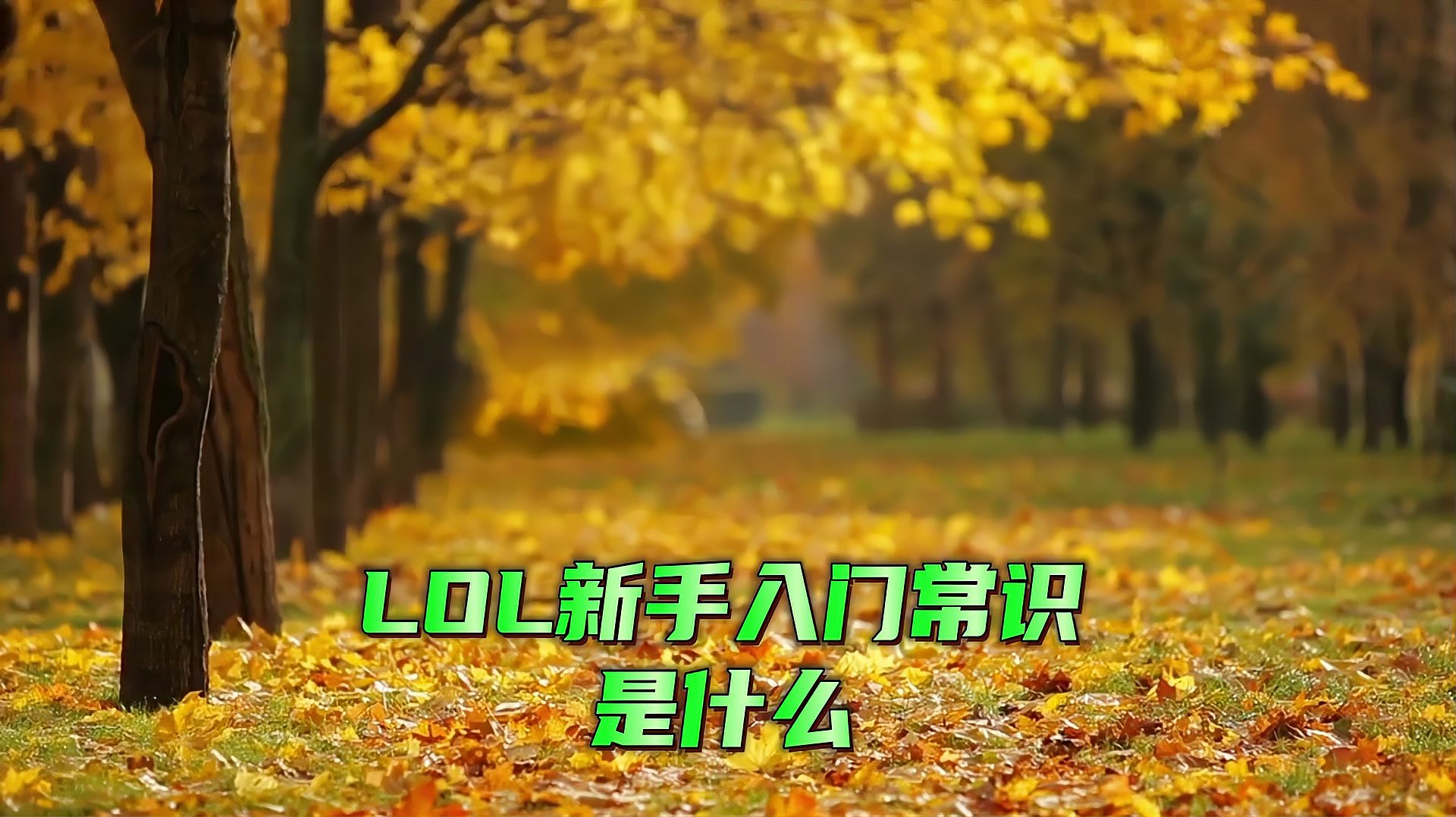 lol新手入门常识是什么