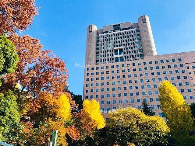 明治大学「明治大学日本排名」