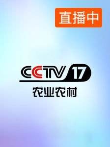 cctv5在线直播「cctv5在线直播观看手机直播」