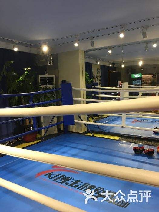 k1格斗「K1格斗游戏」