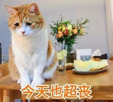 爆棚「爆棚是什么意思人气爆棚是什么意思」