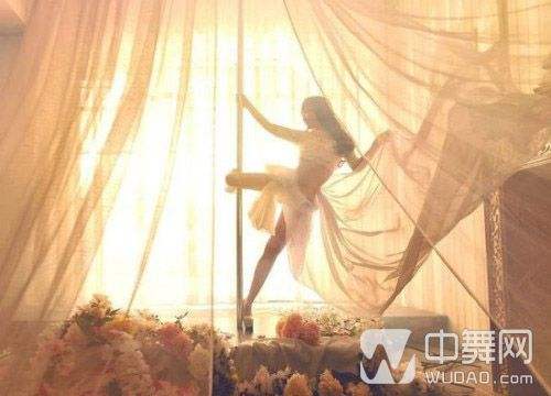 钢管舞女「钢管舞女神」