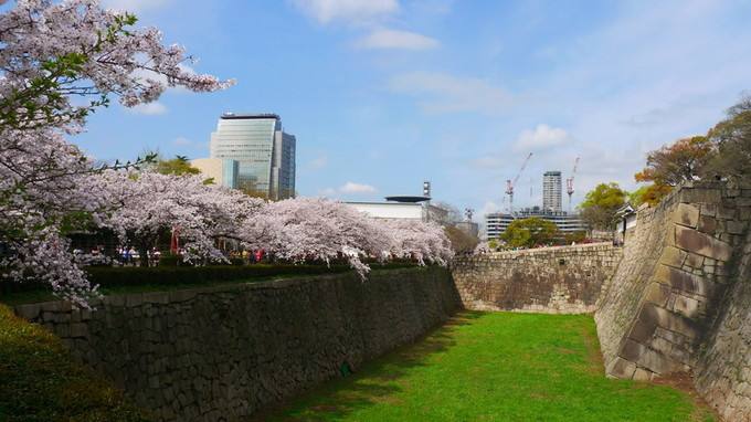 大阪樱花「大阪樱花vs大阪钢巴比分」