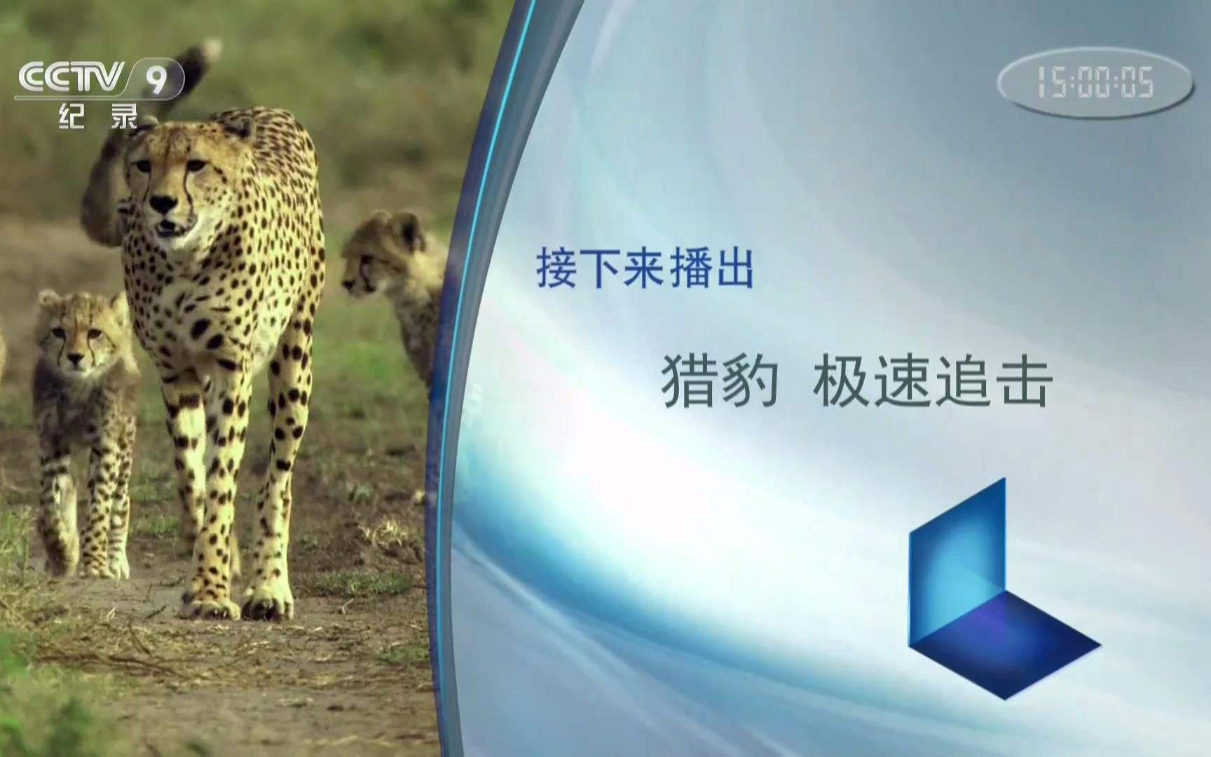 cctv9在线直播观看「cctv9在线直播观看手机电视直播」