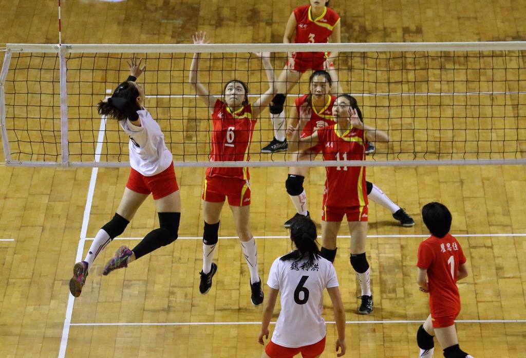 女排赛事「女排赛程时间表」