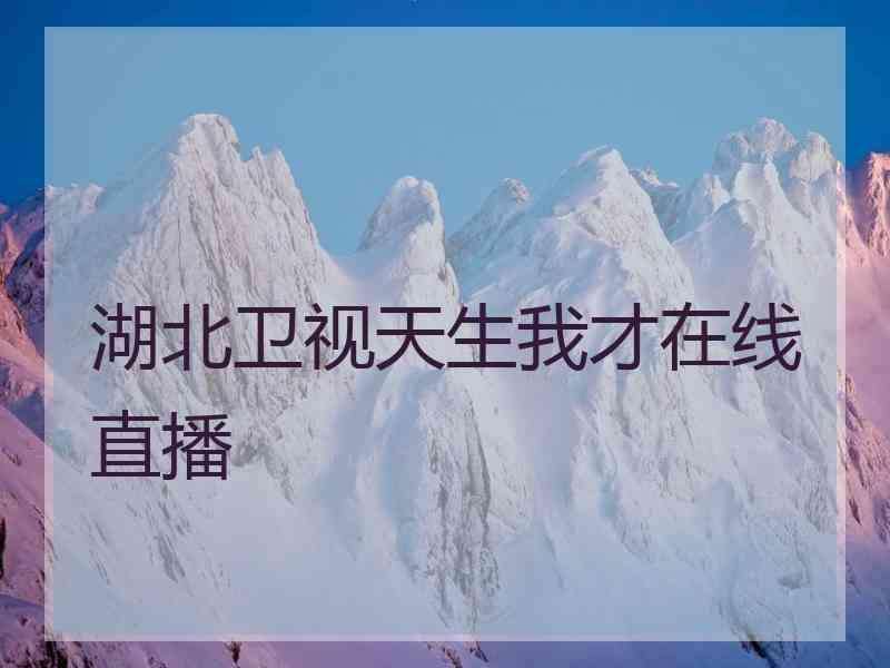 湖北卫视网络直播「湖北卫视直播在线观看」