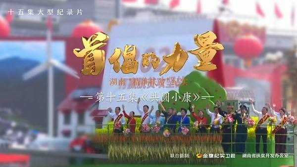 金鹰纪实频道「金鹰纪实频道回放」