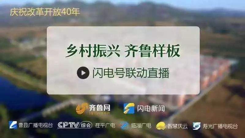 齐鲁频道直播「齐鲁频道直播在线观看」