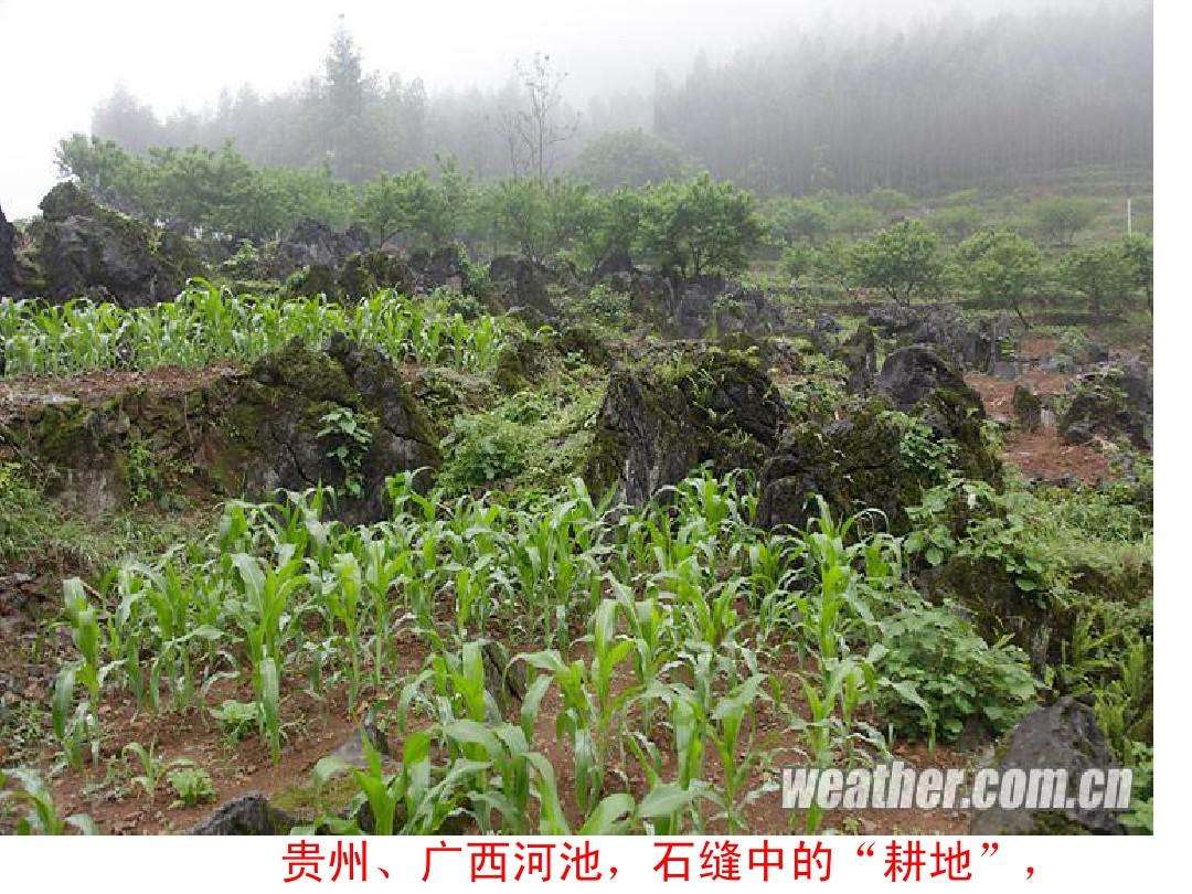 河池在线「河池在线求助」