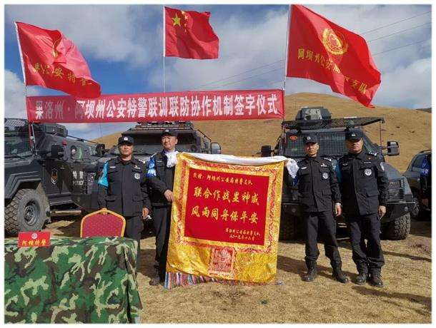区域联防「区域联防的主要队形有」