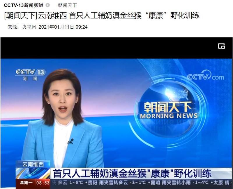 cctv12在线直播「cctv12在线直播正在直播」