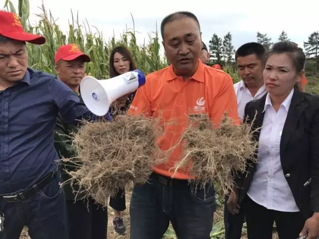 农林卫视直播「农林卫视在线观看」