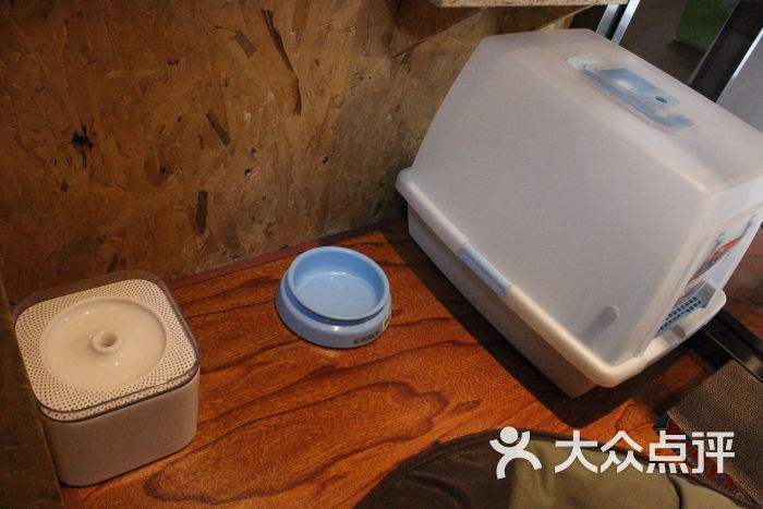 瑟卡「柴犬瑟瑟卡」