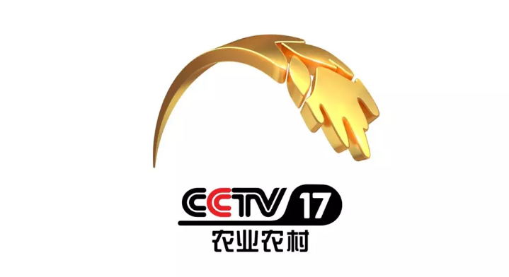 cctv9在线直播电视「cctv9在线直播电视剧节目表」