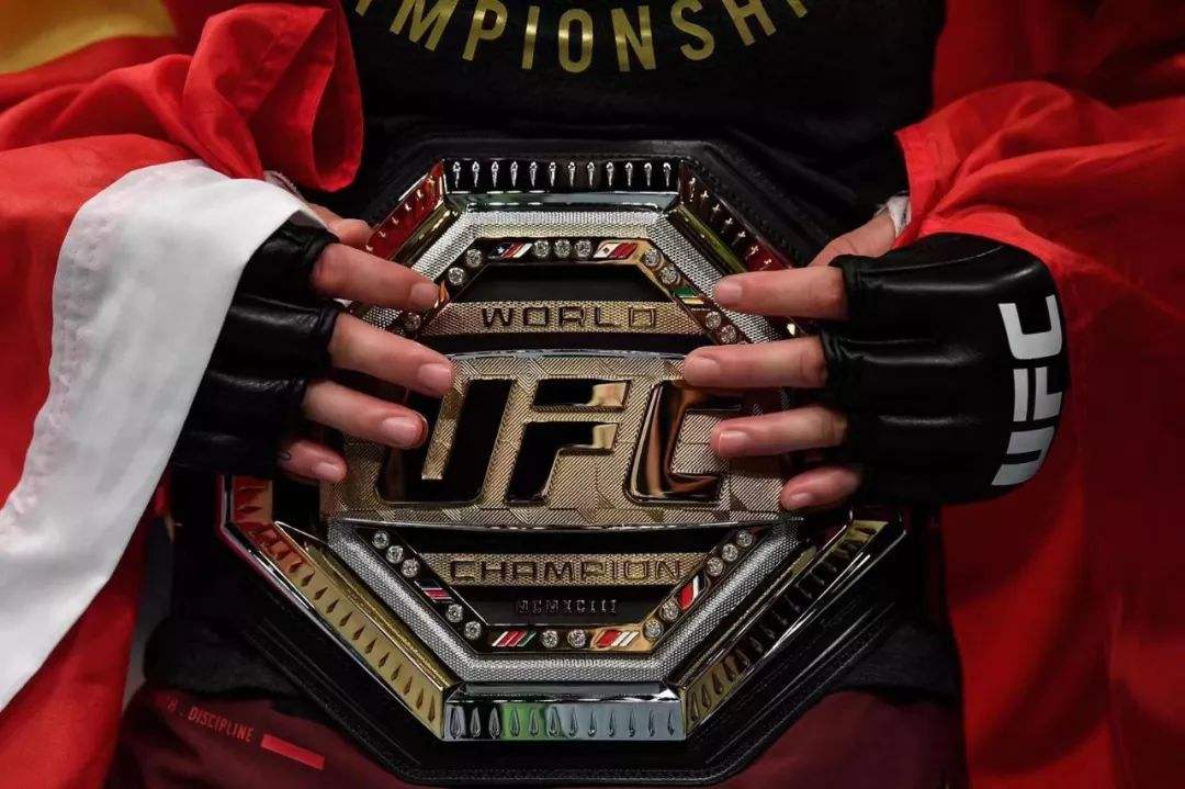 ufc格斗「ufc格斗之夜207」