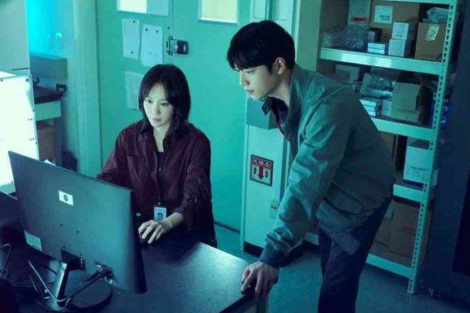 迷网追凶「迷网追凶结局什么意思」