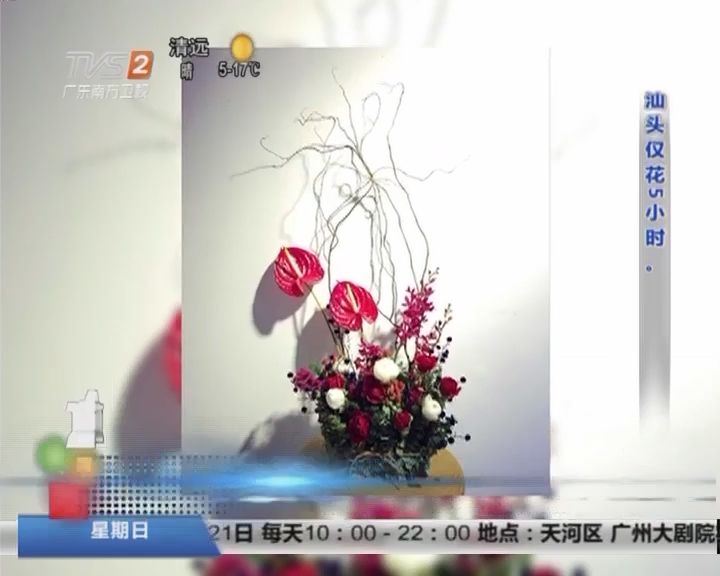 南方卫视tvs2直播「南方卫视tvs2直播省内版」