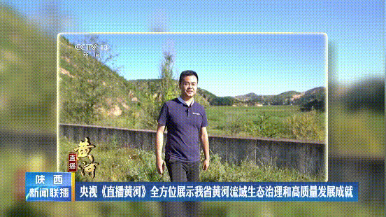 黄河卫视直播「黄河卫视直播回放」