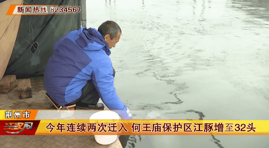 江汉风「江汉风热线电话」