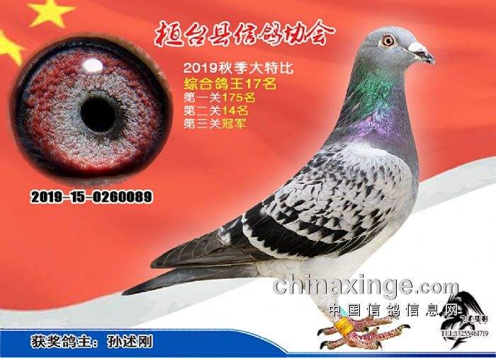 188篮球比分「篮球188比分直播188」