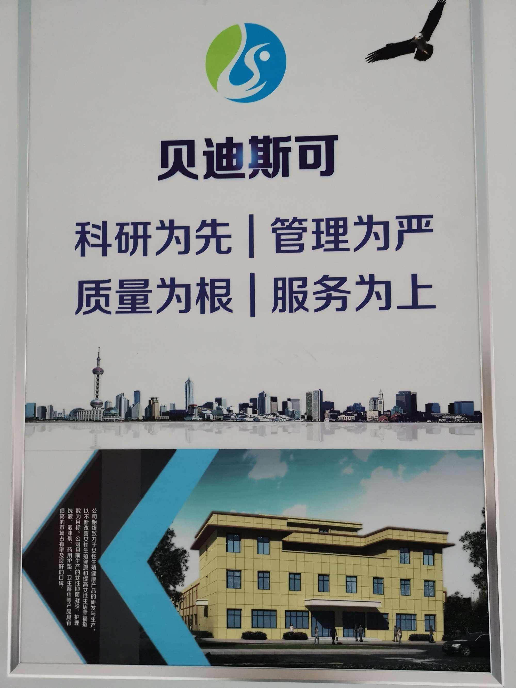 贝迪斯「贝迪斯门窗怎么样」