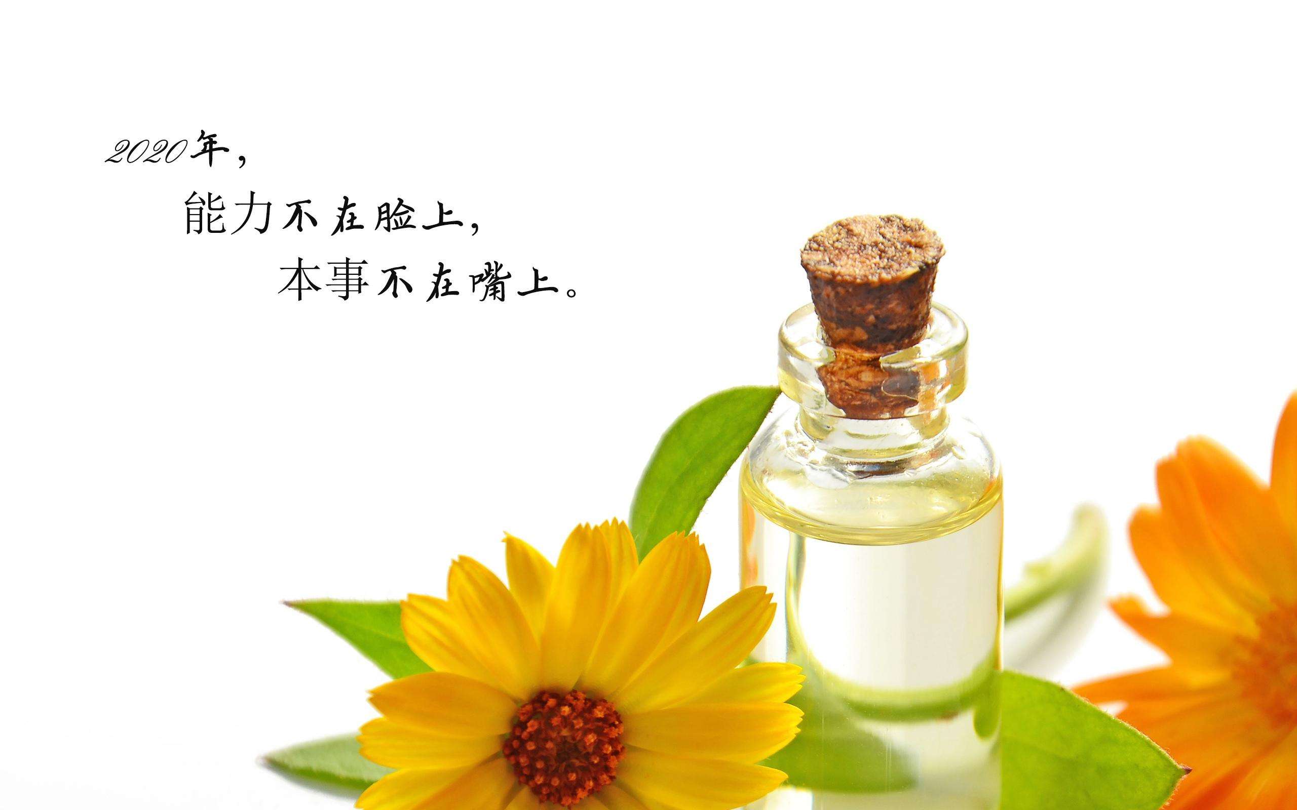 会更好的「会更好的句子」