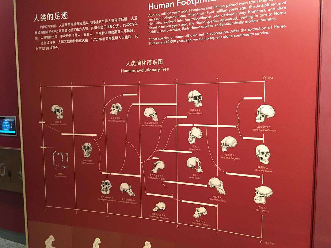 弗洛里斯人「弗洛里斯人存活到200年前」