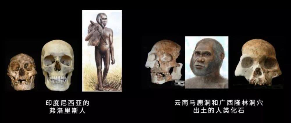 弗洛里斯人「弗洛里斯人存活到200年前」