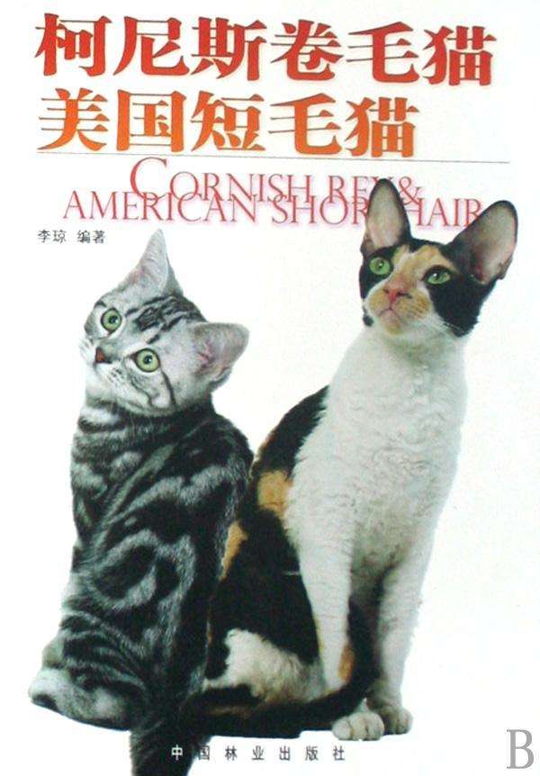 尼尼斯「尼尼斯拉的图片」