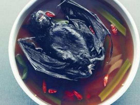 包含武汉吃蝙蝠的词条