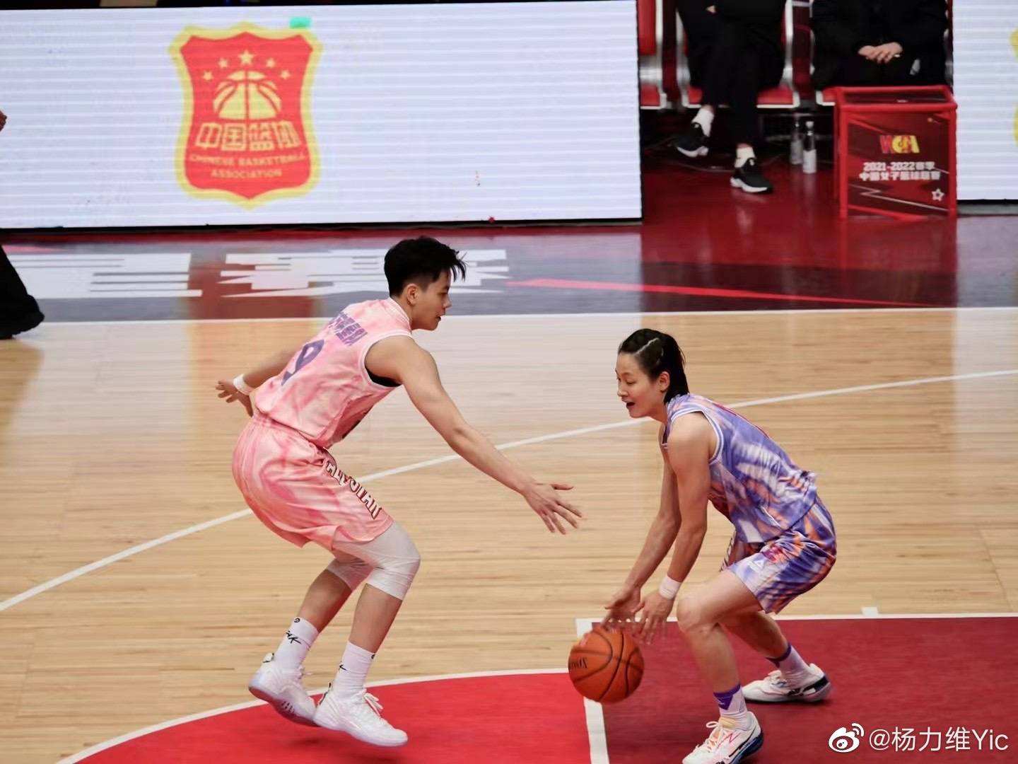 杨力维「杨力维图片」