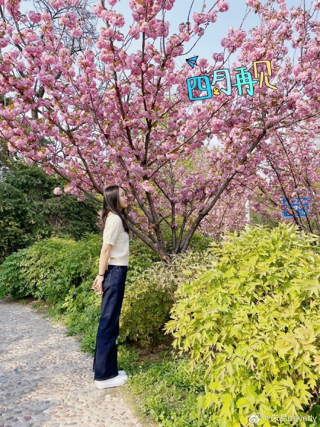 朱易微博「朱易微博超话」