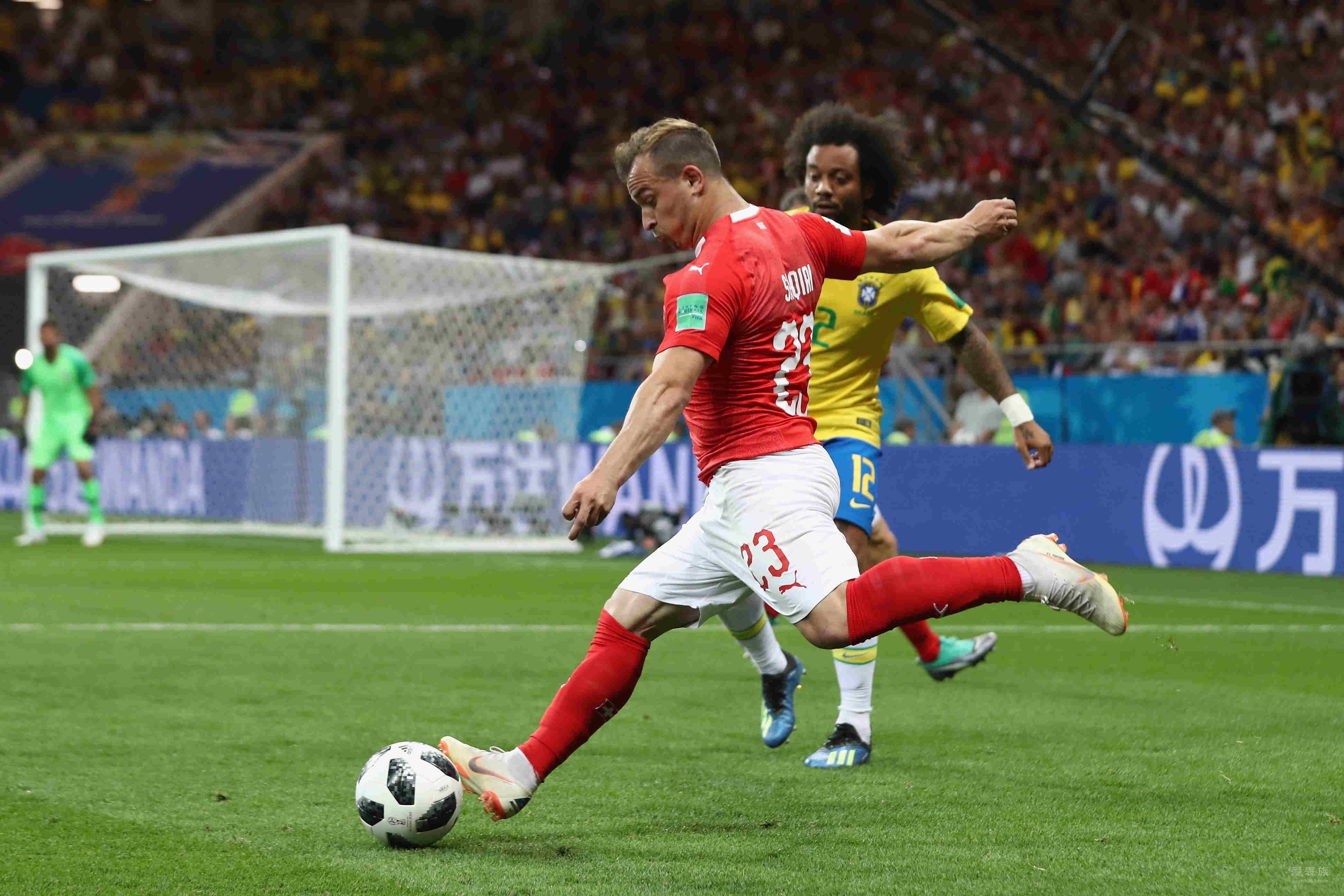 为了世界杯「为了世界杯停战」