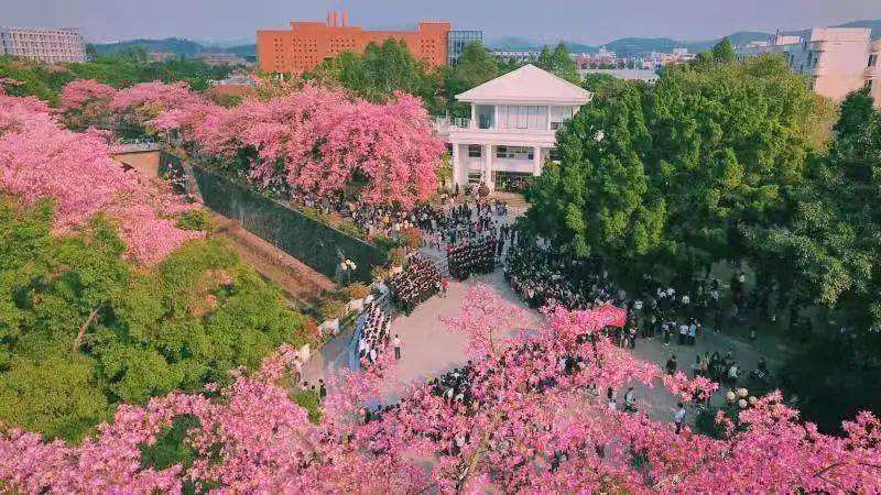 广州大学软件学院「广州大学松田学院和广州大学软件学院」