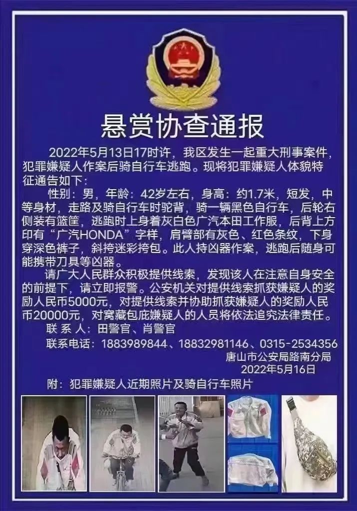 漯河在线「漯河在线电影」