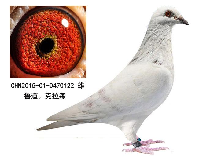克拉森「克拉克森」