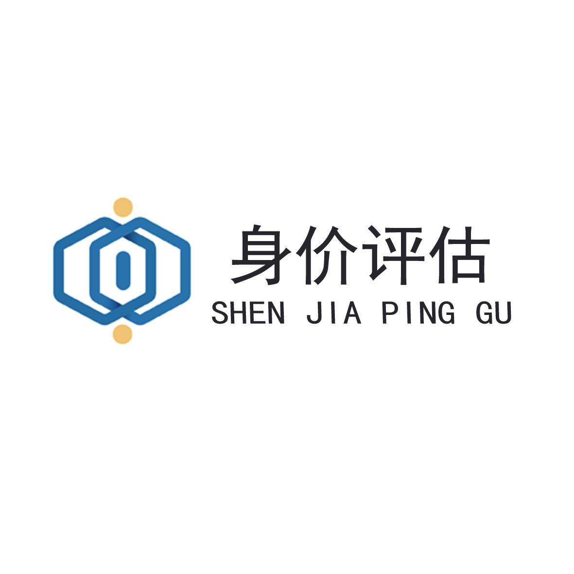 身价「身价险是什么」