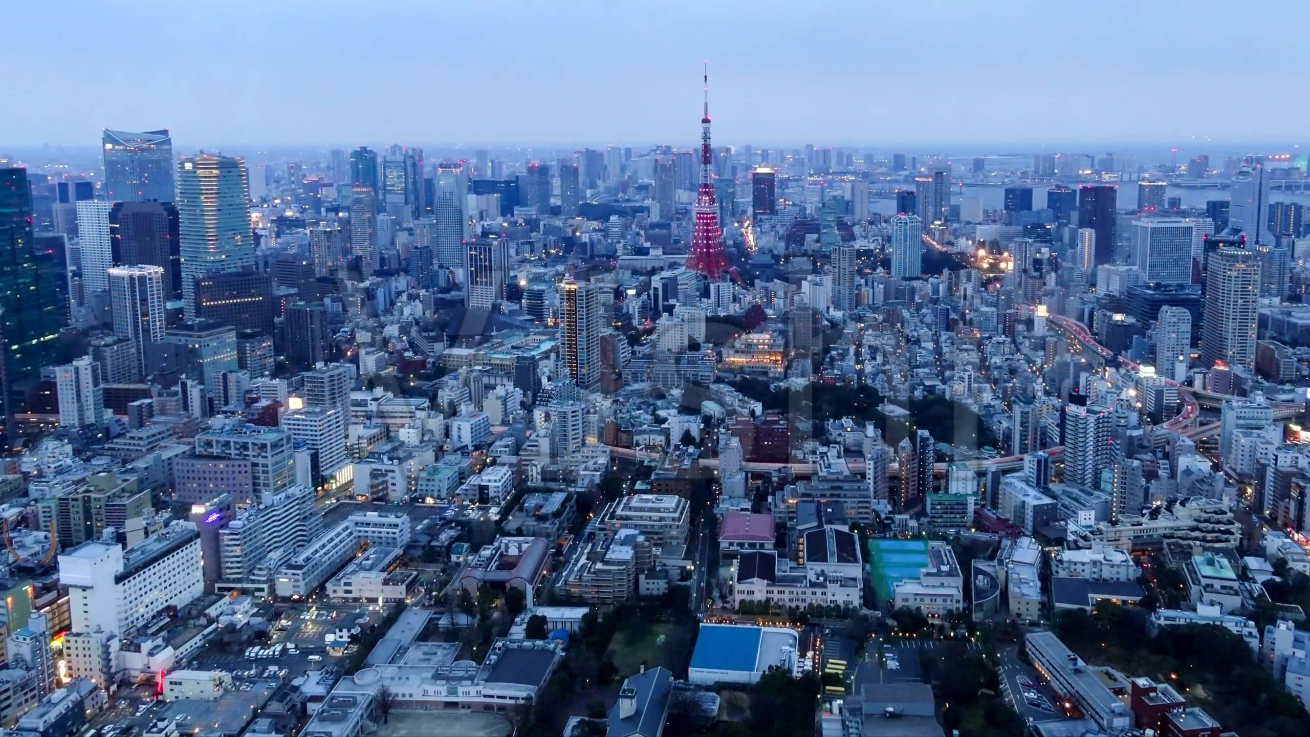 日本东京「日本东京大学」