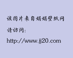 荷兰极品「荷兰极品页」