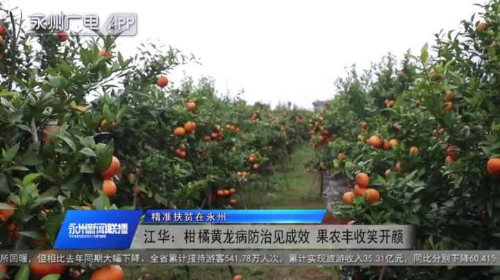永州新闻「永州新闻综合频道直播」