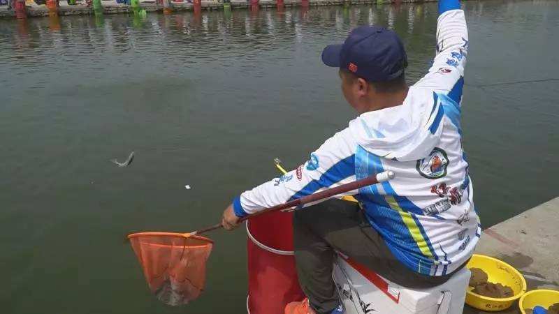 四海钓鱼在线直播「四海钓鱼直播手机观看」