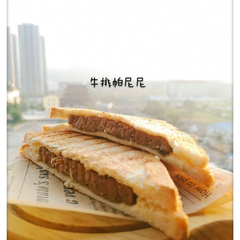 帕尼尼是什么意思「帕尼尼为什么叫帕尼尼」