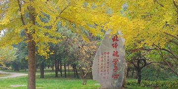 北体「北体单招体育生录取分数线」