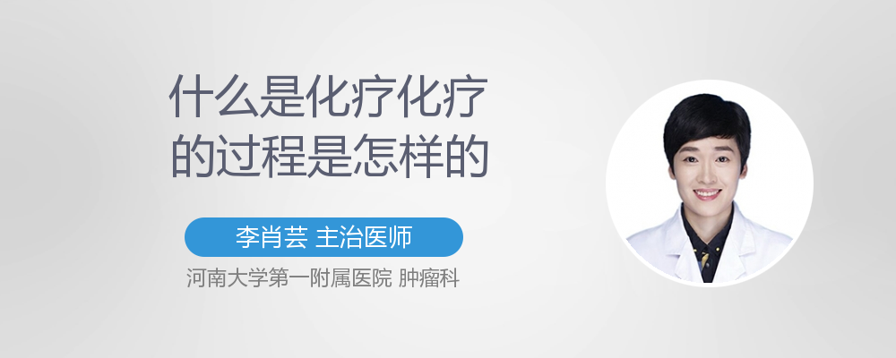 泽菲「泽菲说明书」