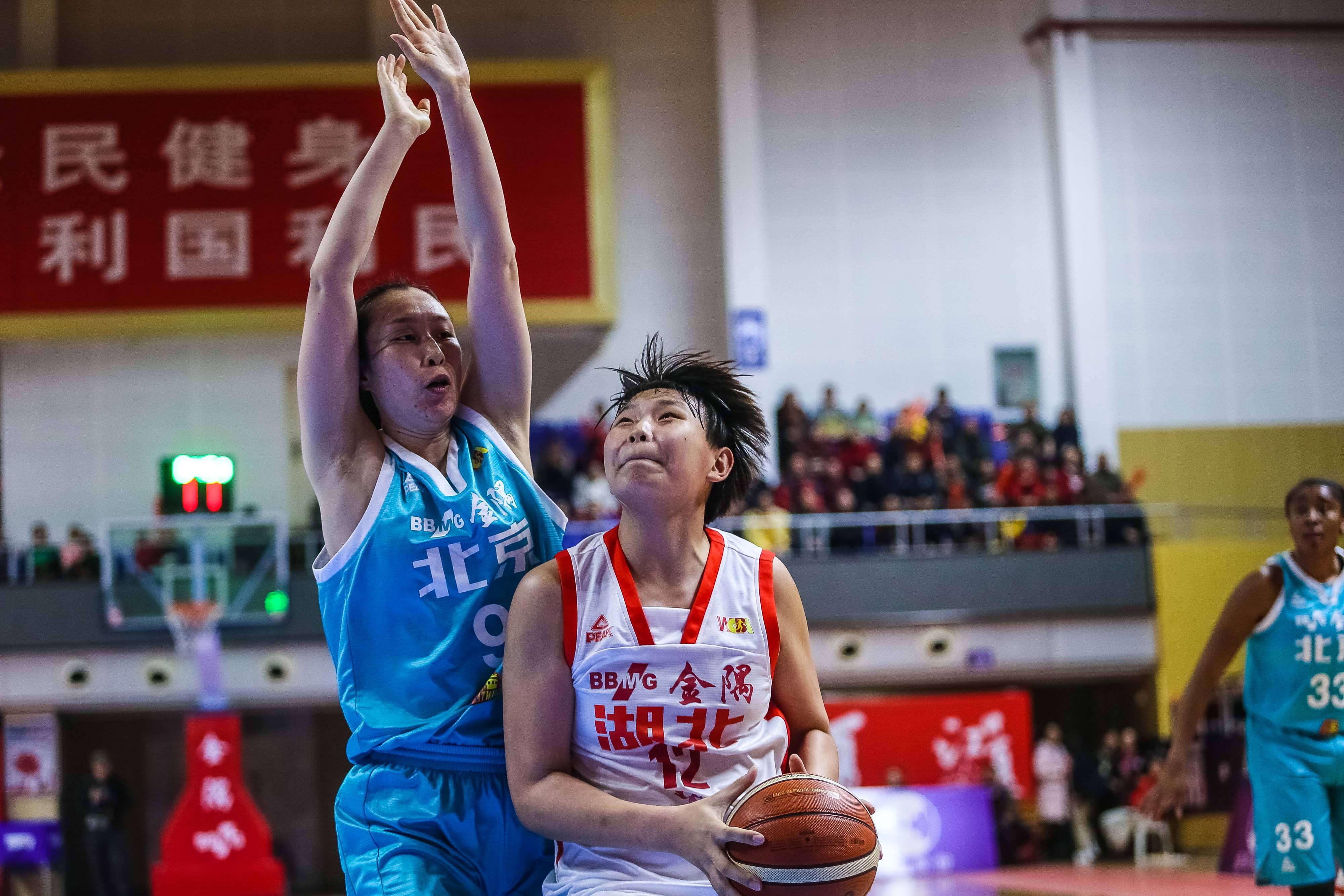 女篮11号「女篮11号是谁」