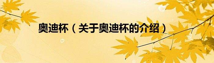 奥迪杯，奥迪杯含金量在哪里看！