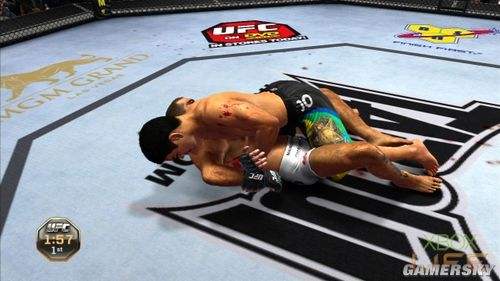 ufc终极格斗，ufc终极格斗赛